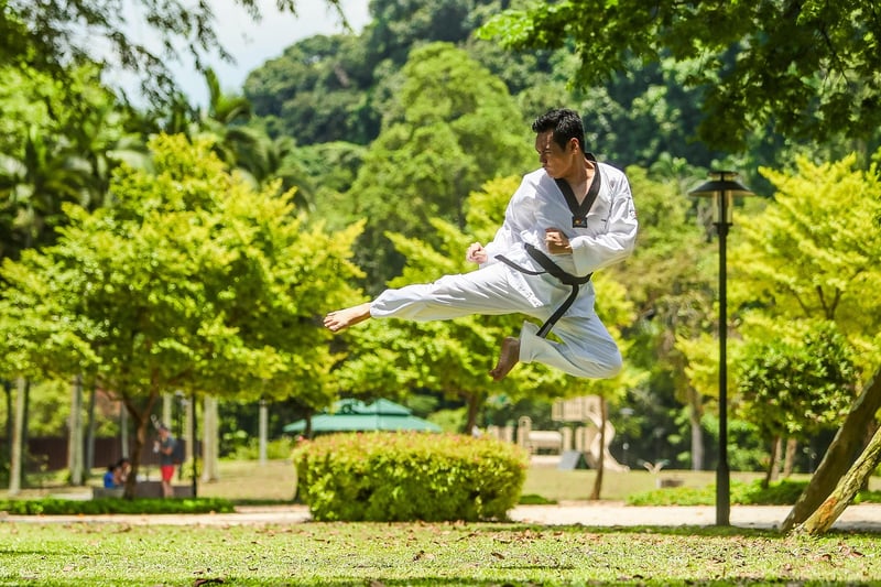 Chinese martial art