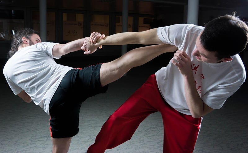 Sun Style martial art